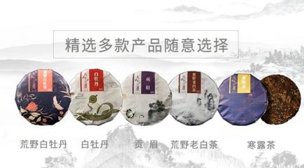 發(fā)揚(yáng)白茶文化 九十三度老白茶引領(lǐng)行業(yè)發(fā)展